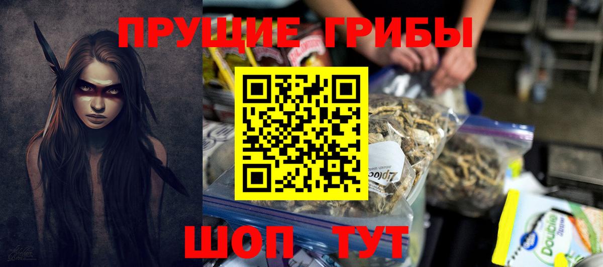 Псилоцибиновые грибы прущие грибы  Вход с VPN  купить закладку  Белгород 